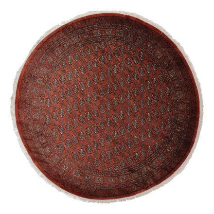 Tapis rond marron Boukhara 244x246 tapis pakistanais fait main