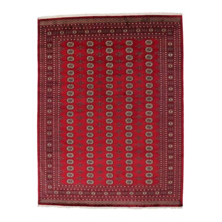 Tapis pakistanais Boukhara 280x366 tapis oriental fait main